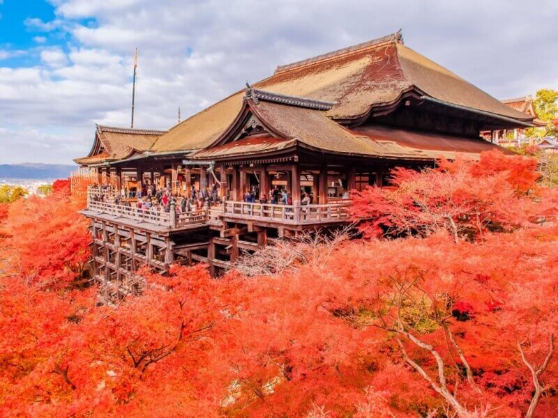 Đặt tour du lịch Nhật Bản mùa lá đỏ khởi hành từ TPHCM